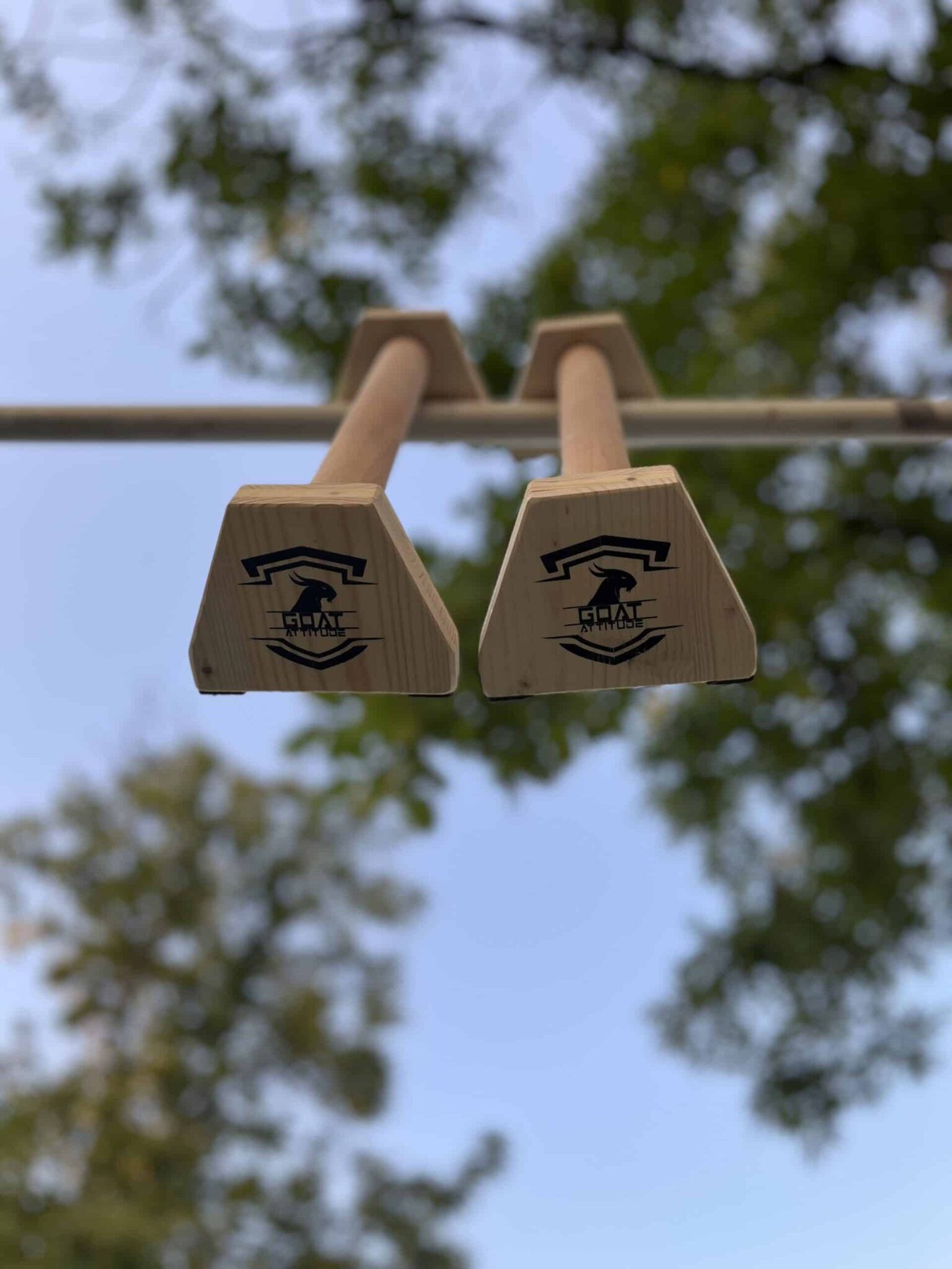 GOAT ATTITUDE - PARALLELE BASSE CALISTHENICS - immagine 2