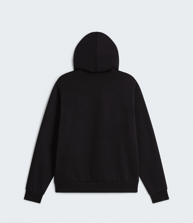 THE NORTH FACE - W FELPA CON CAPPUCCIO EVOLUTION - immagine 2