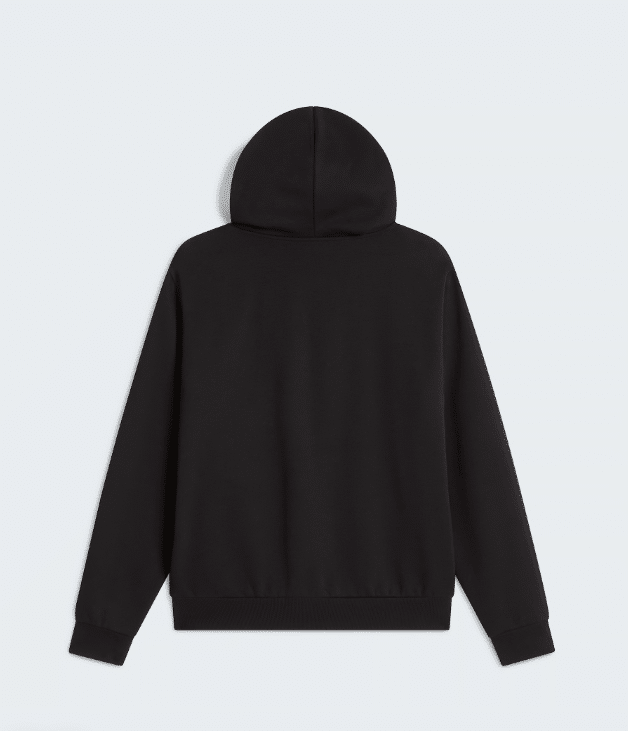 THE NORTH FACE - FELPA CON CAPPUCCIO E CERNIERA EVOLUTION - immagine 2