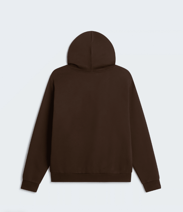 THE NORTH FACE - FELPA CON CAPPUCCIO EVOLUTION - immagine 2