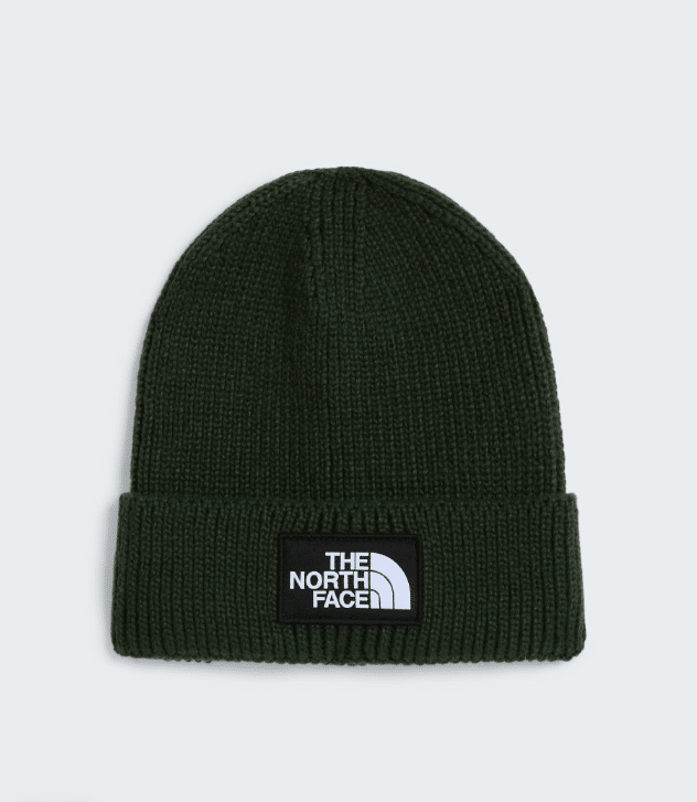 THE NORTH FACE – BERRETTO LOGO BOX BOTTLE GREEN